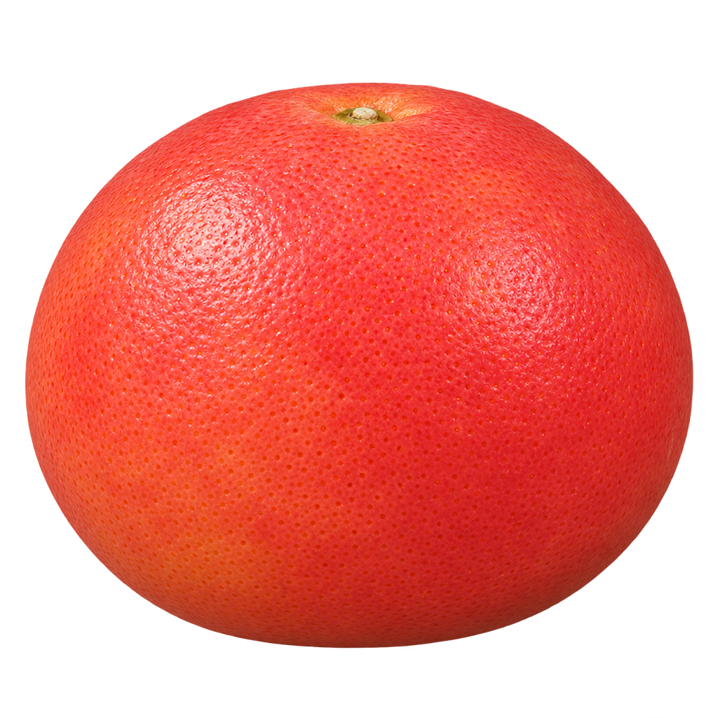 Generated depiction of a round, slightly wider-than-tall Texas Red (TR-1) Grapefruit from a low side view, with finely pebbled coral-red rind