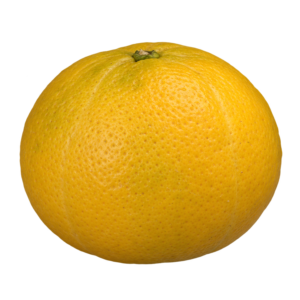 Generated depiction of a Savage Citrange, slightly wider than tall, with yellow-gold rind and subtle sector boundaries.