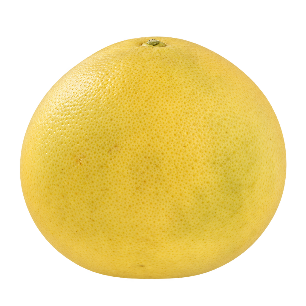 Generated Thompson grapefruit depiction with a broad rounded shape and finely pitted pale yellow rind