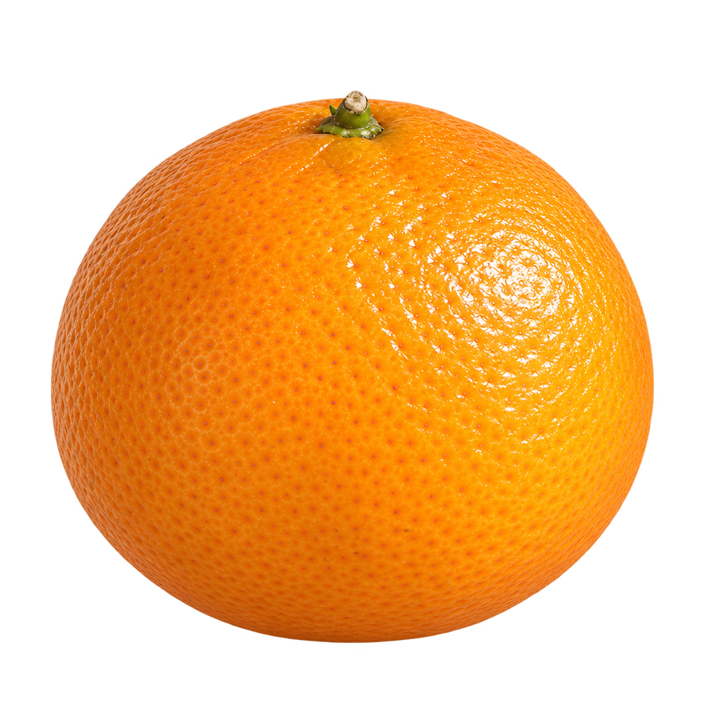 Generated depiction of a plump, lightly flattened Rangpur lime with orange, finely dimpled rind, viewed from the side