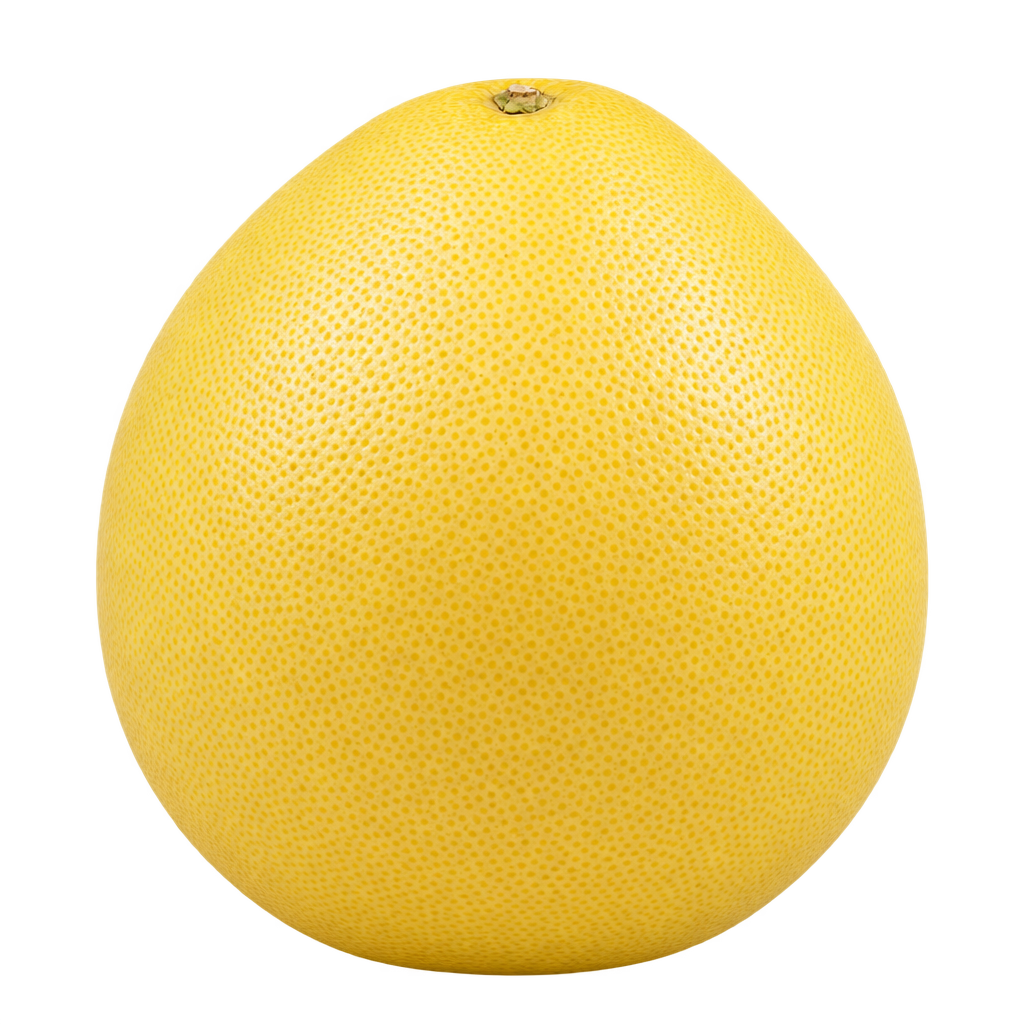 Generated depiction of African Shaddock Pummelo following the supplied reference, taller than wide with a tapered top and finely stippled yellow rind