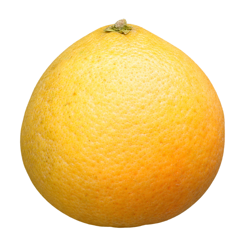 Generated Trifeola fruit with yellow rind, tapered shoulders and a broad gently flattened base