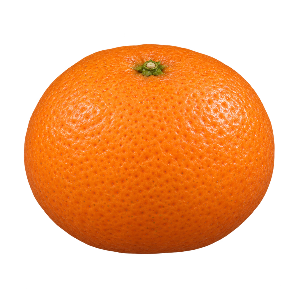 Generated depiction of Kunenbo Mandarin with a plump, modestly flattened mandarin body, centered calyx and finely pebbled orange rind