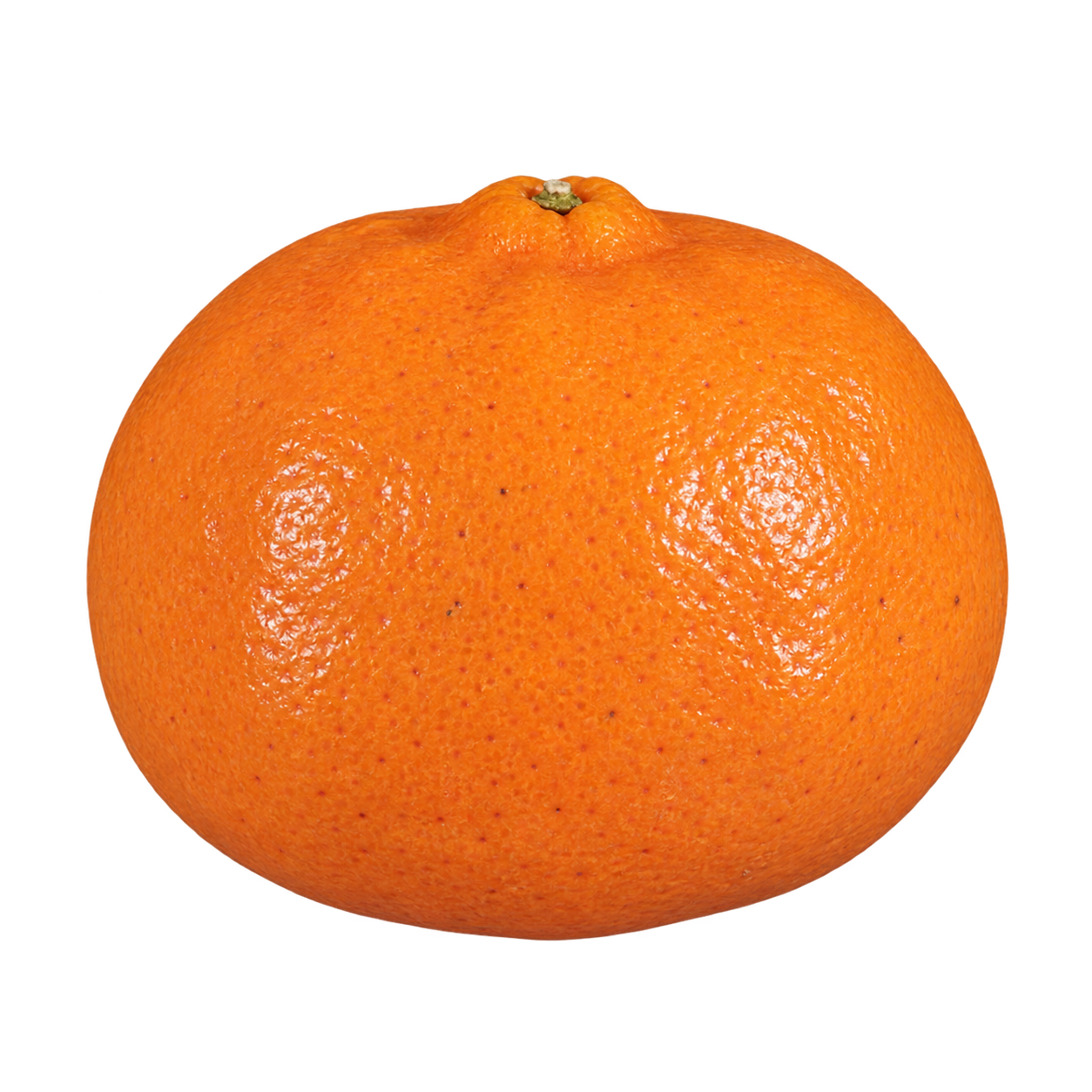 Generated depiction of Dancy Mandarin in low side view, with a broad flattened orange body, finely pitted rind and a small centered top calyx