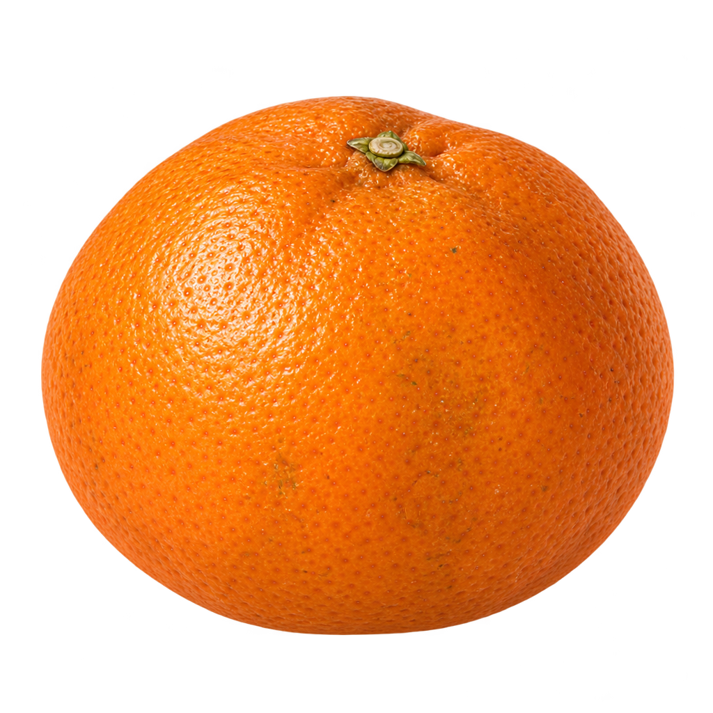 Generated depiction of a compact, slightly squat Weshart Tangerine with uneven shoulders, orange rind and a small top calyx.