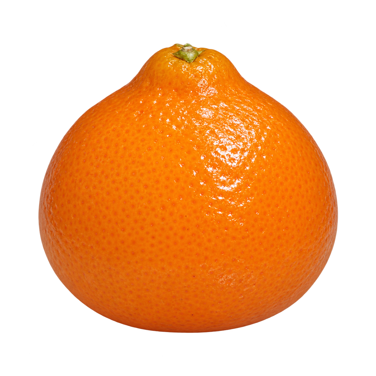 Generated depiction of a whole Sugar Belle from a low side view, with orange rind and a small calyx on its raised stem end