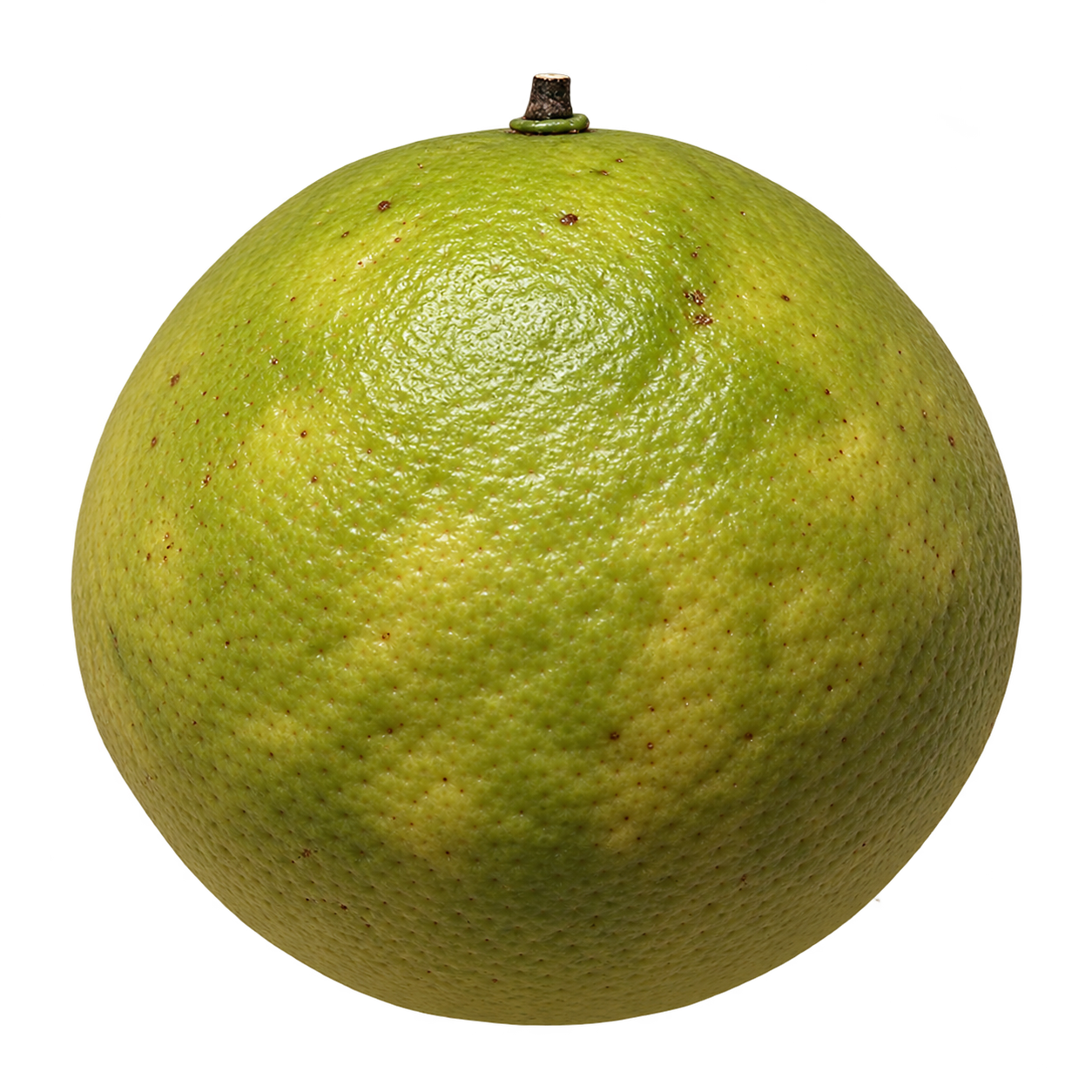 Generated depiction of Carolina Lime in side view, with yellow-green lightly bumpy rind and a short stem at the top