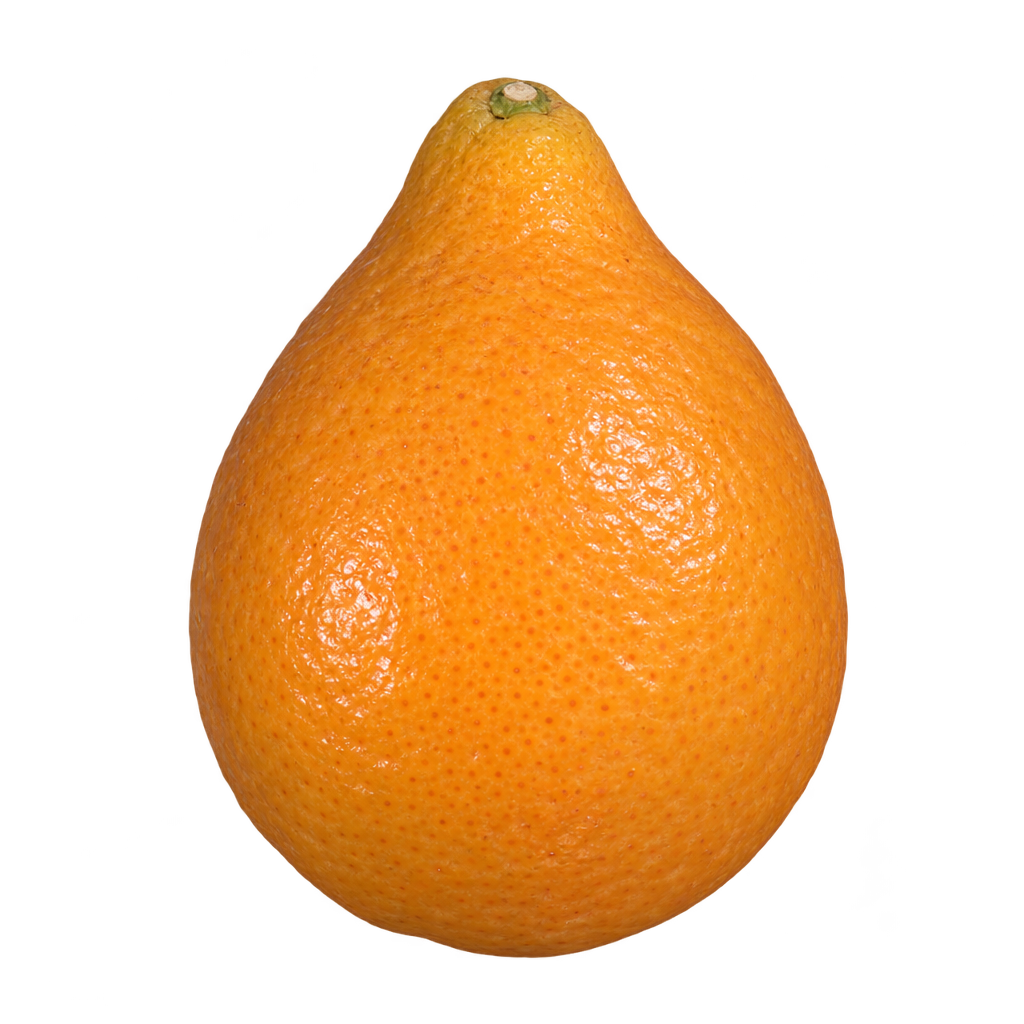 Generated depiction of a pear-shaped Nippon Orangequat with a plump rounded lower body, tapered shoulders, a short top neck and golden-orange rind