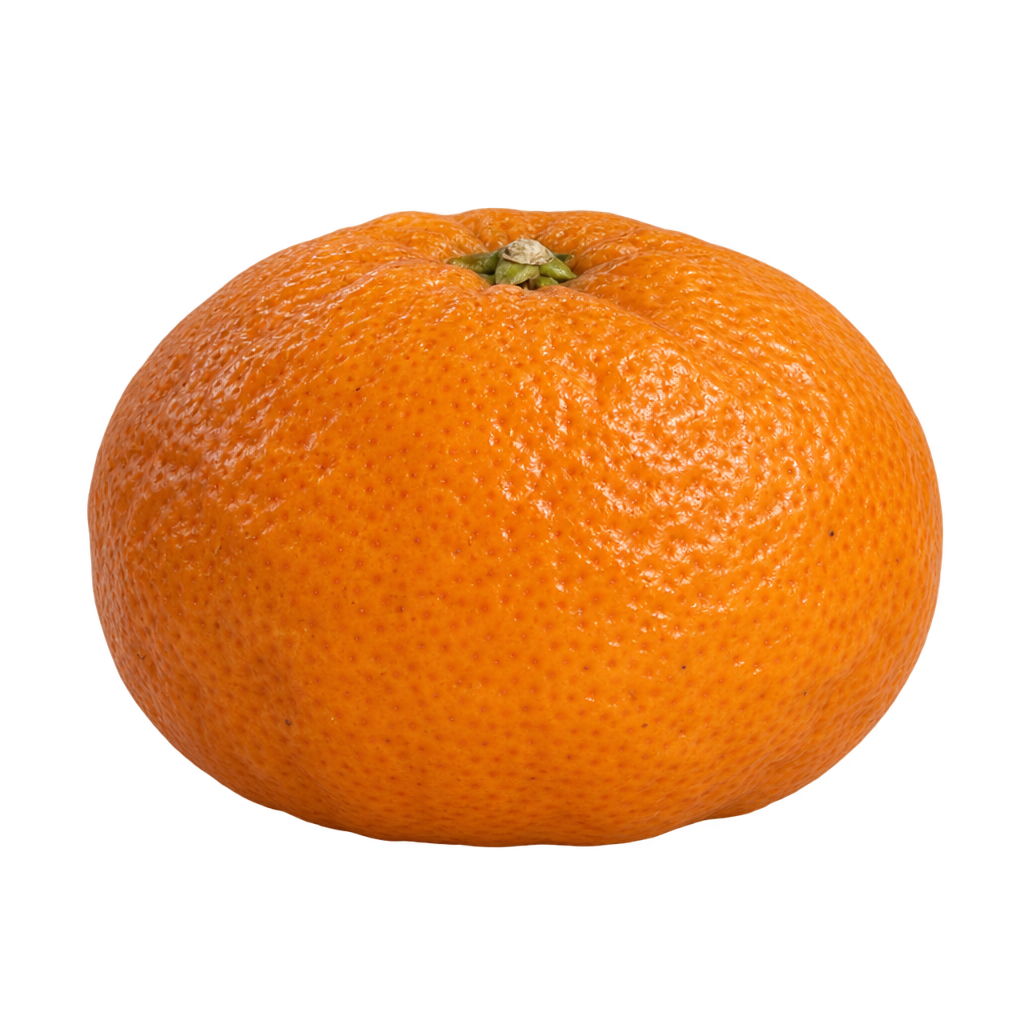 Generated depiction of a small, gently flattened Shekwasha Mandarin with slightly puffy orange rind