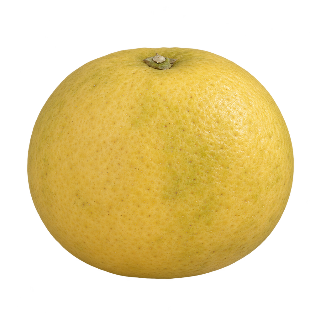 AI-generated depiction of Palestine Sweet Lime, slightly wider than tall, with finely textured yellow rind and gently flattened poles.