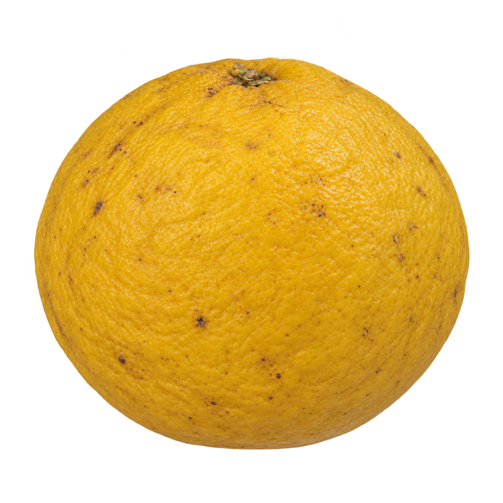Generated depiction of a nearly spherical Bajusz fruit, slightly wider than tall, with rough golden-yellow rind