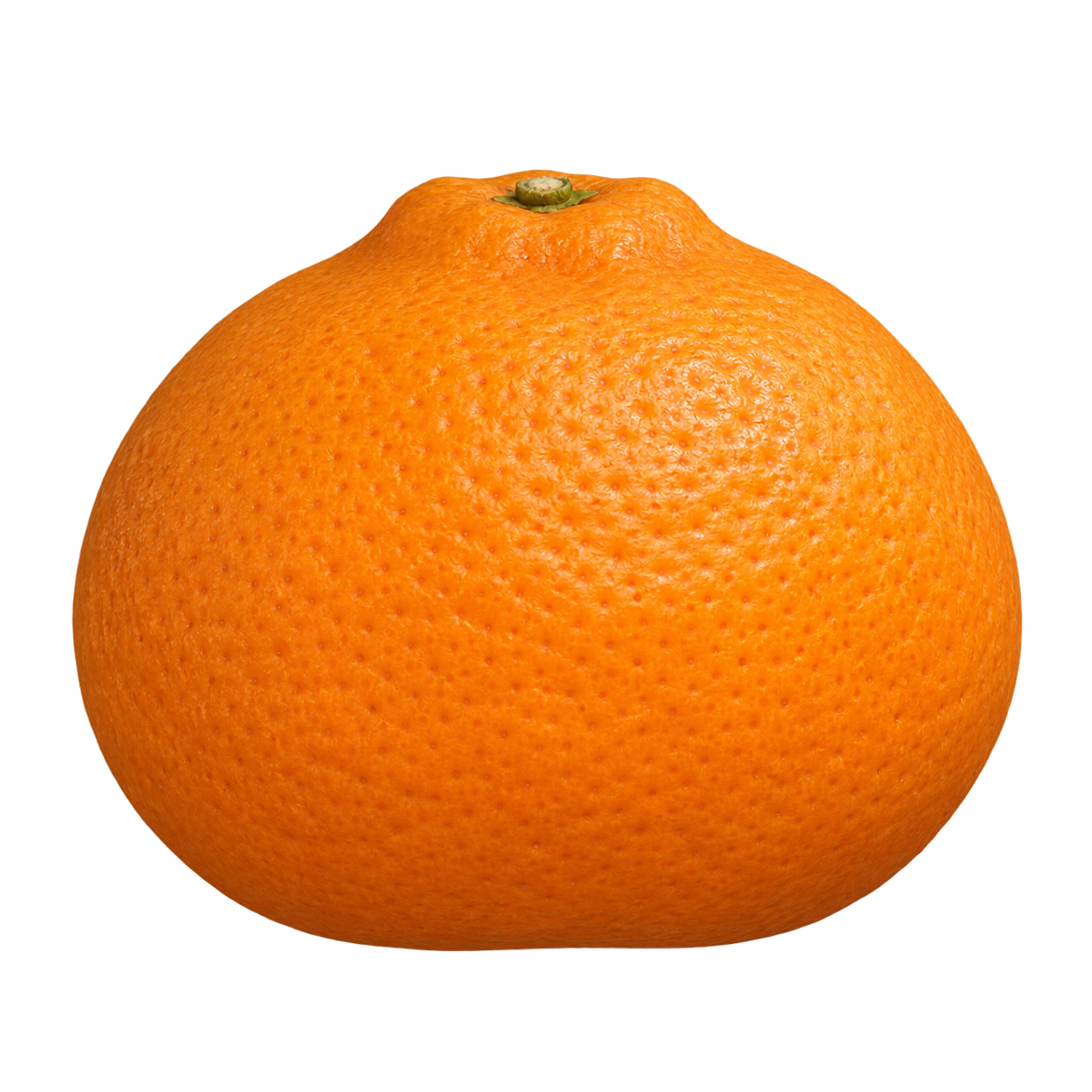 Generated depiction of an Okitsu Wase Satsuma in side view, with orange rind, broad shoulders and a modest raised stem end