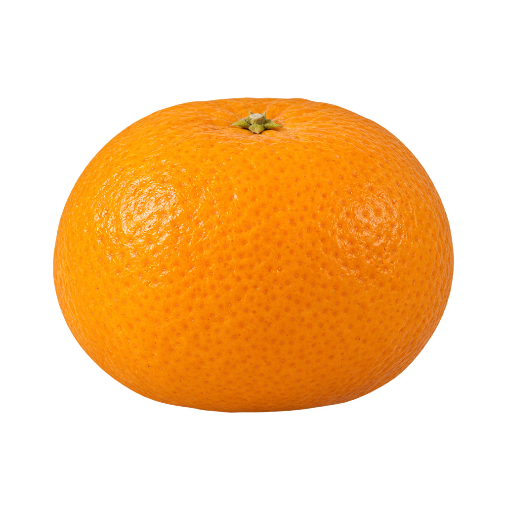 Generated depiction of a compact California Honey Mandarin with flattened top and bottom, rounded sides and golden-orange rind