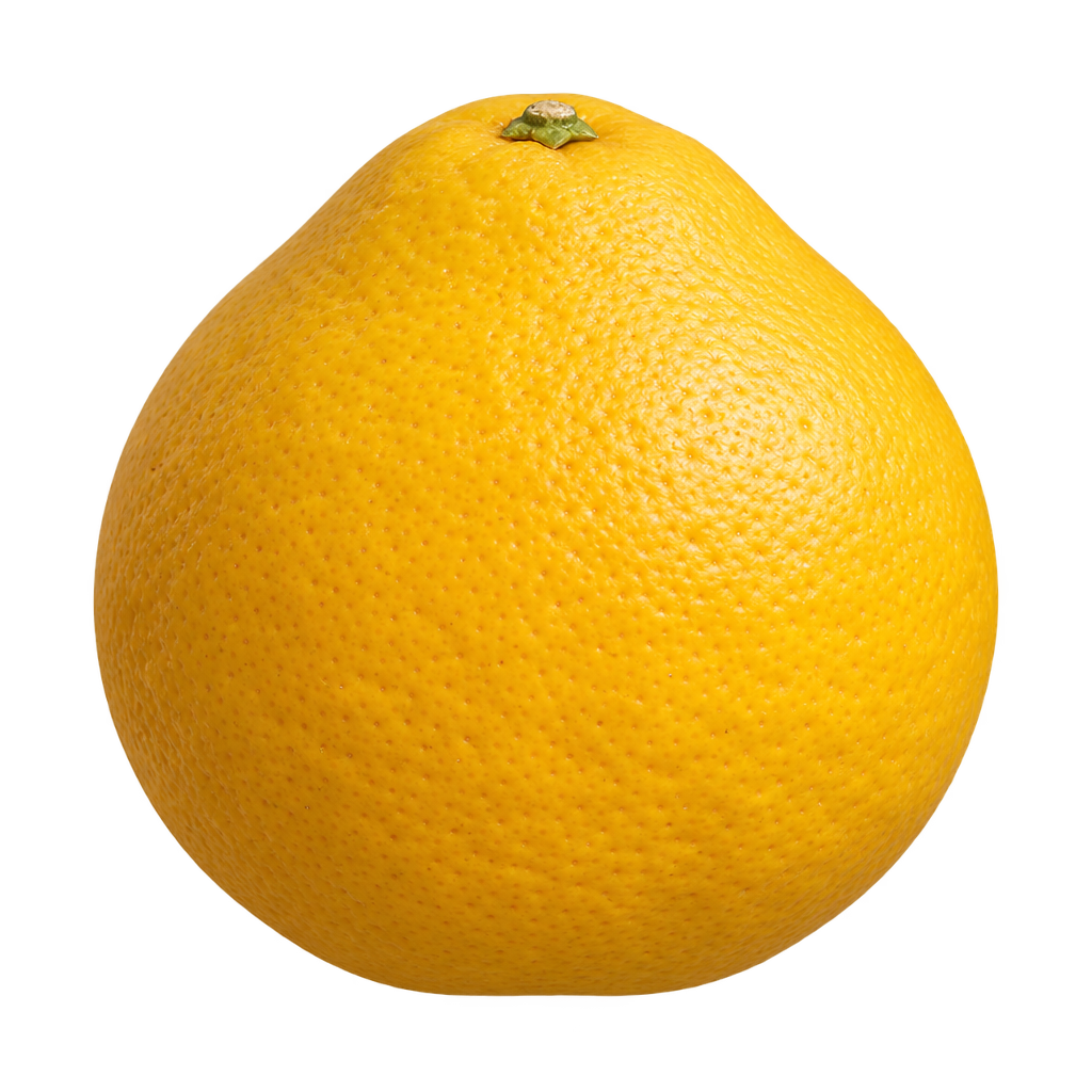 Generated Thornton tangelo with tapered shoulders, a gently flattened base and golden yellow rind