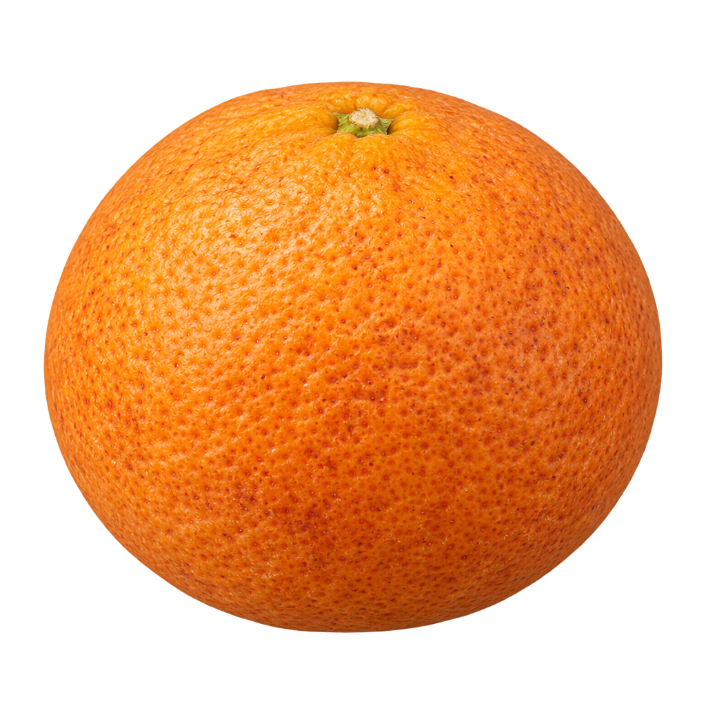 Generated depiction of a round, modestly wider-than-tall US-942 Citrandarin from a low side view, with textured orange rind and subtle mottling