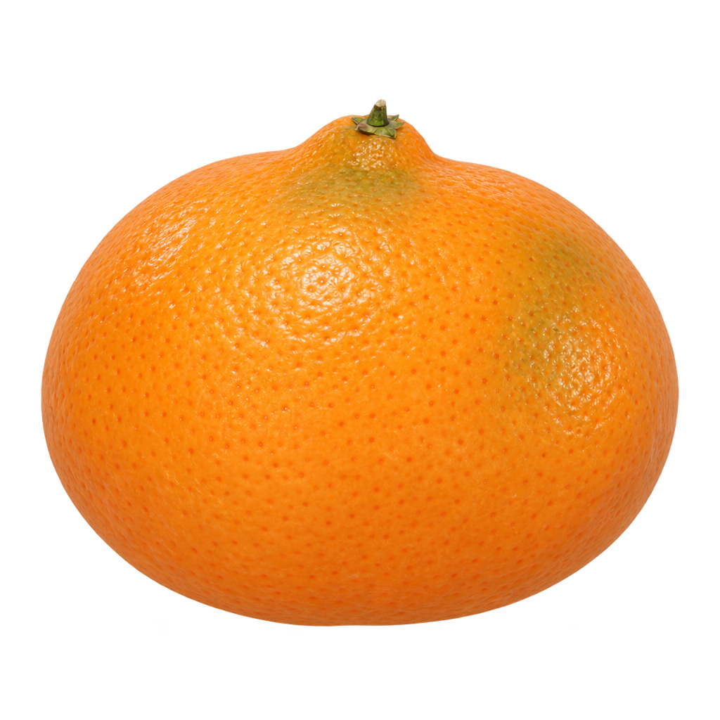Generated approximation of Kishu mandarin using the shared Seedless Kishu whole-fruit depiction, with orange rind and a modest neck