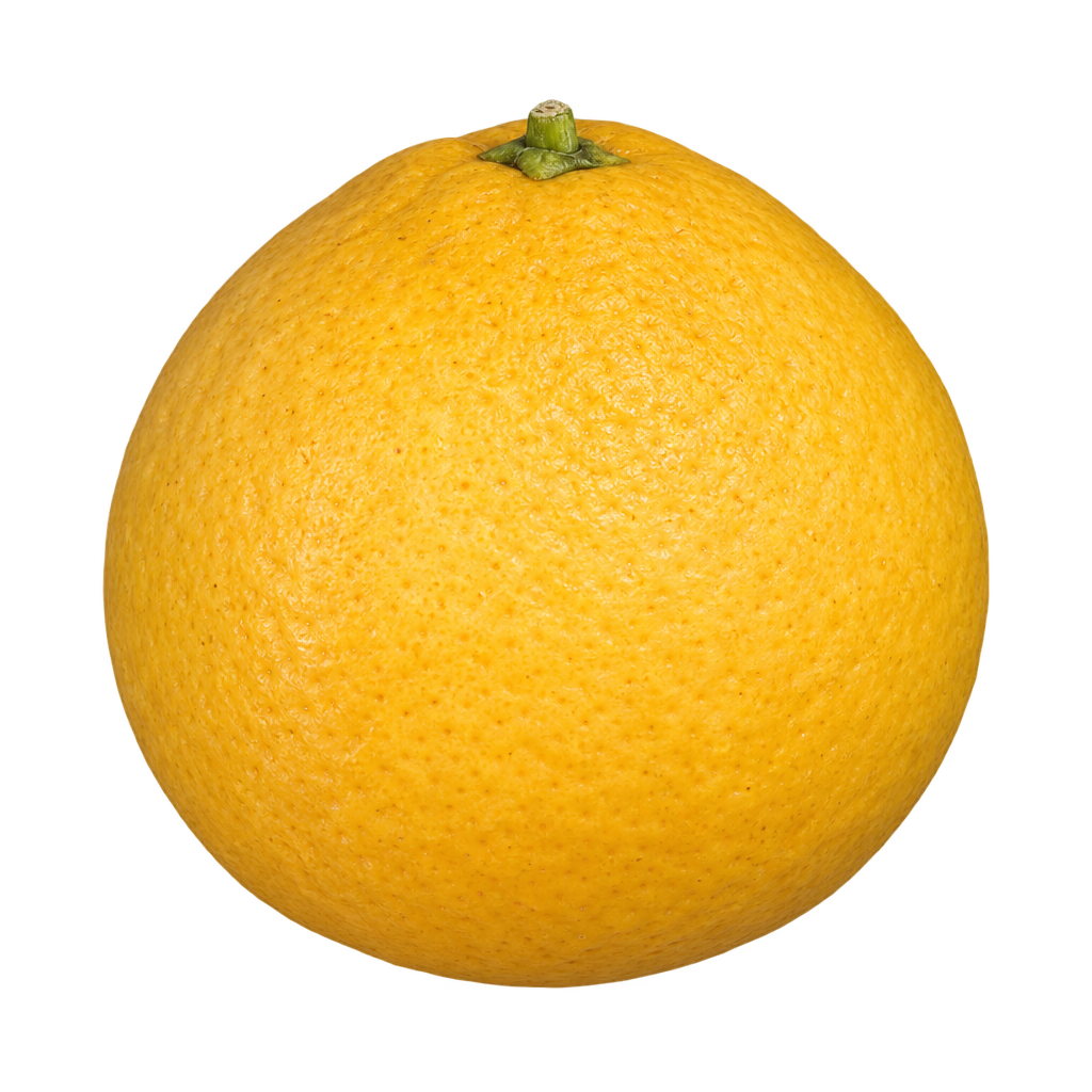 Generated depiction of nearly round Ichang Papeda (CRC 3931) with subtly narrowing upper shoulders and textured golden-yellow rind