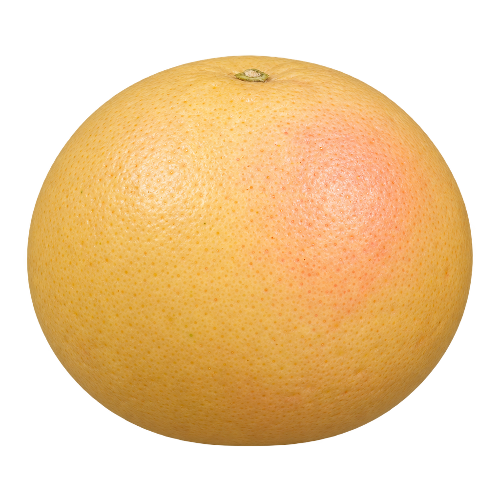 Generated depiction of a Redblush Grapefruit, slightly wider than tall, with pale yellow rind and a subtle pink blush