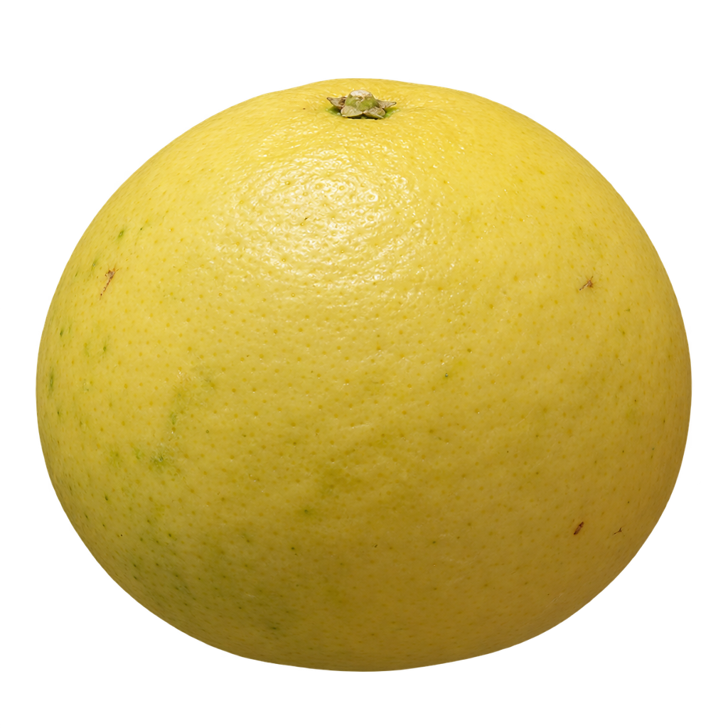 Generated US 5 Star citrumelo with a broad rounded pale-yellow body and subdued green-yellow patches