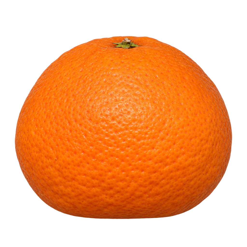 Generated depiction of a Temple Tangor with a broad flat base, tapering shoulders and pebbled orange rind