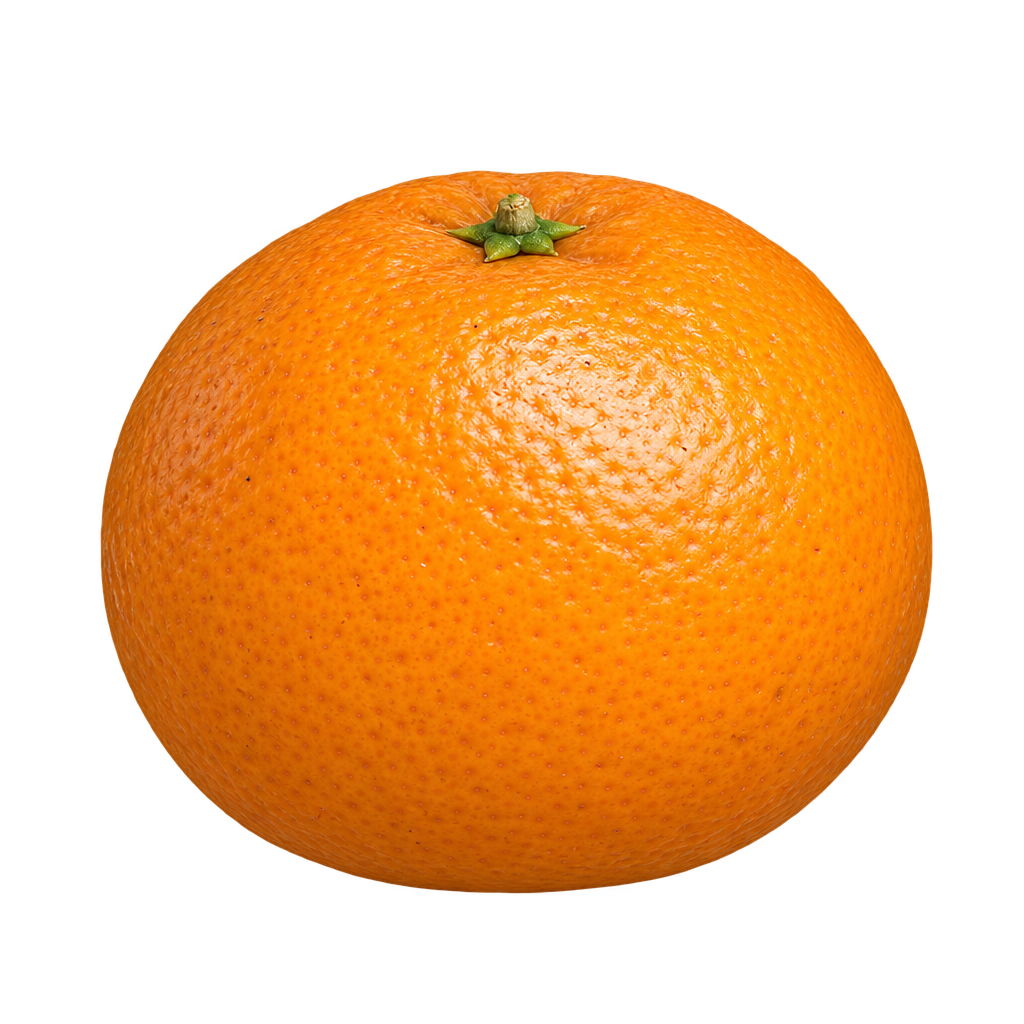 Generated depiction of Kinnow Mandarin with a plump mandarin-shaped body, gently flattened poles and finely pebbled orange rind