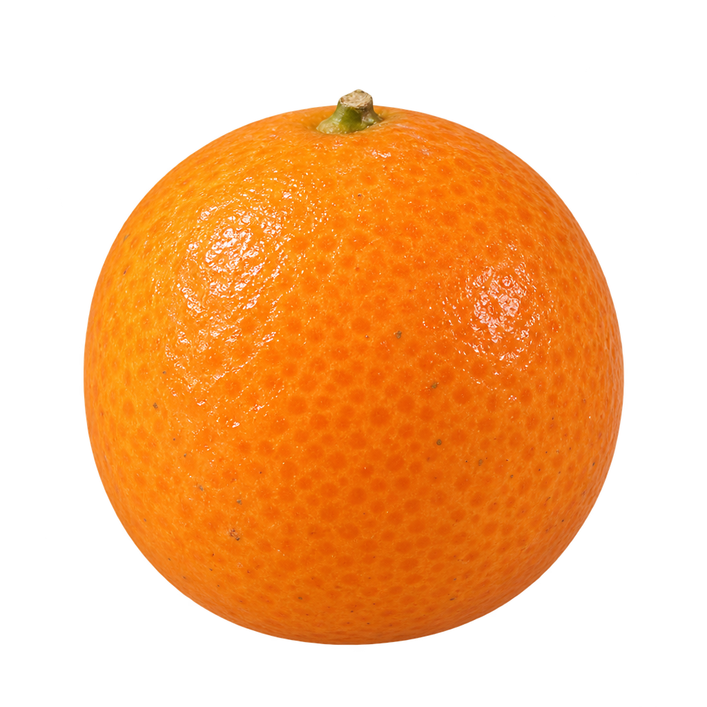 Generated Marumi kumquat depiction, round to slightly oval with finely pitted orange rind and a small stem attachment