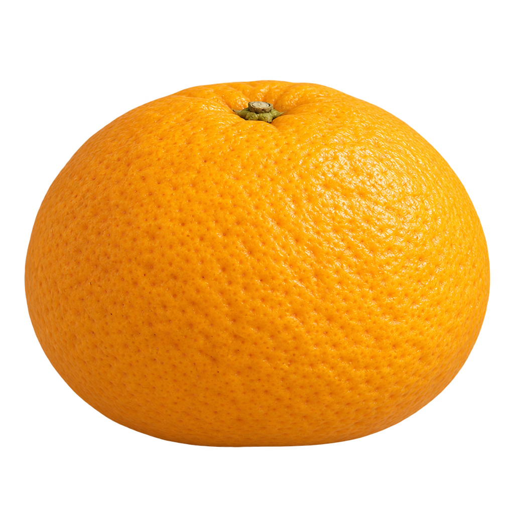 Generated depiction of Amanatsu Sour Orange with a broad mandarin-shaped body, flat bottom and textured golden-orange rind