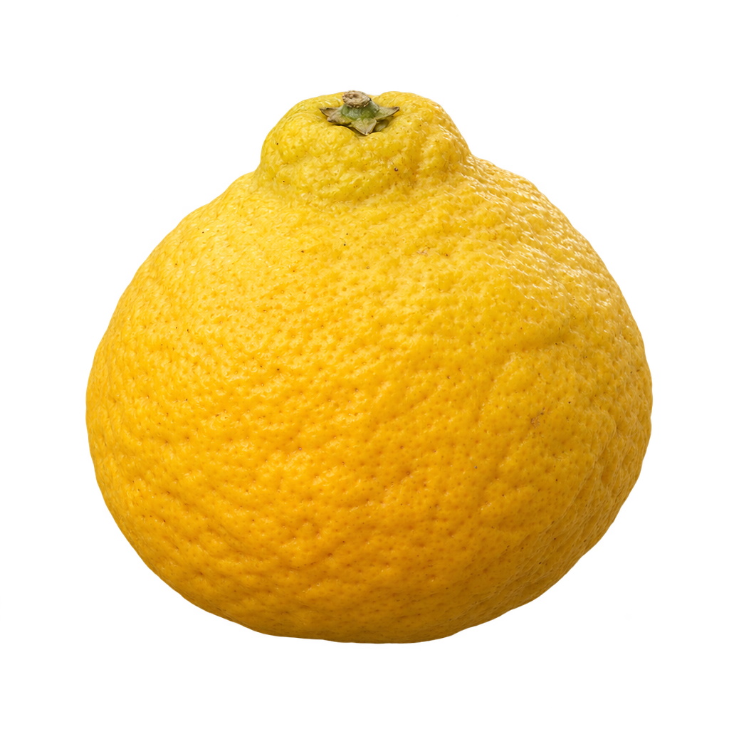 Generated depiction of a Williams Tangelo with rough yellow rind, an irregular rounded body and a short broad neck.