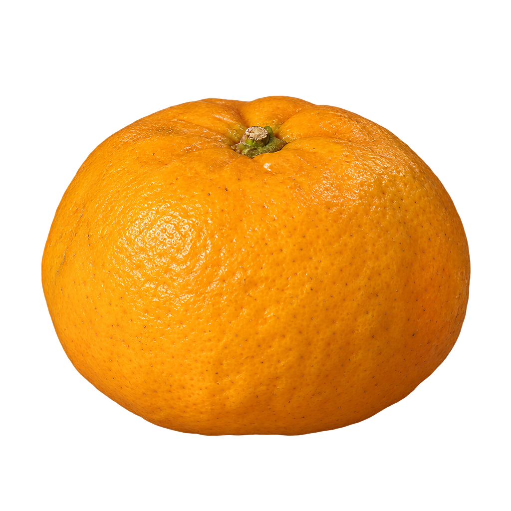 Generated depiction of a broad Ponkan Mandarin with softly flattened poles, slightly puffy loose skin and finely textured orange-gold rind.