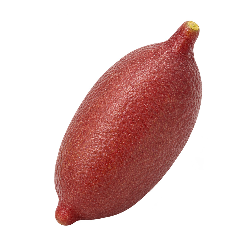 Generated depiction of a plump elongated UF SunLime finger lime with a narrow stem neck and dusky red-mauve rind