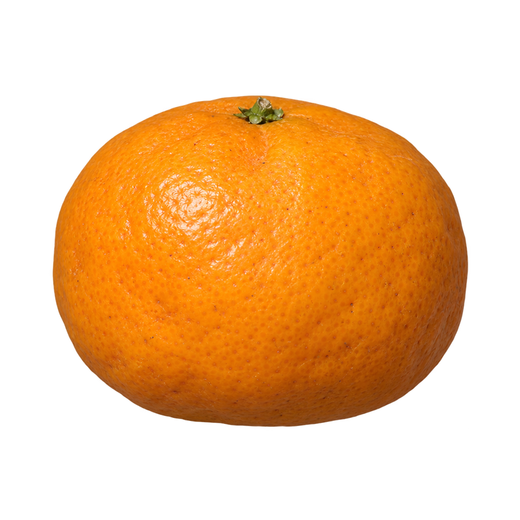 Generated depiction of an oblate Sunki Mandarin with gently puffy orange rind