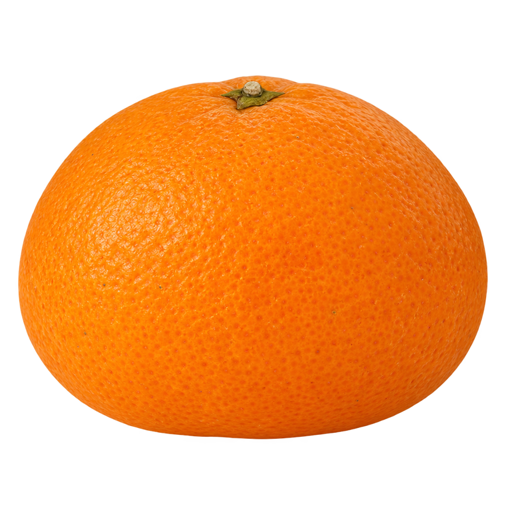 Generated depiction of Kuno Wase Satsuma with a broad satsuma-shaped body, subtly tapered upper shoulders and pebbled orange rind