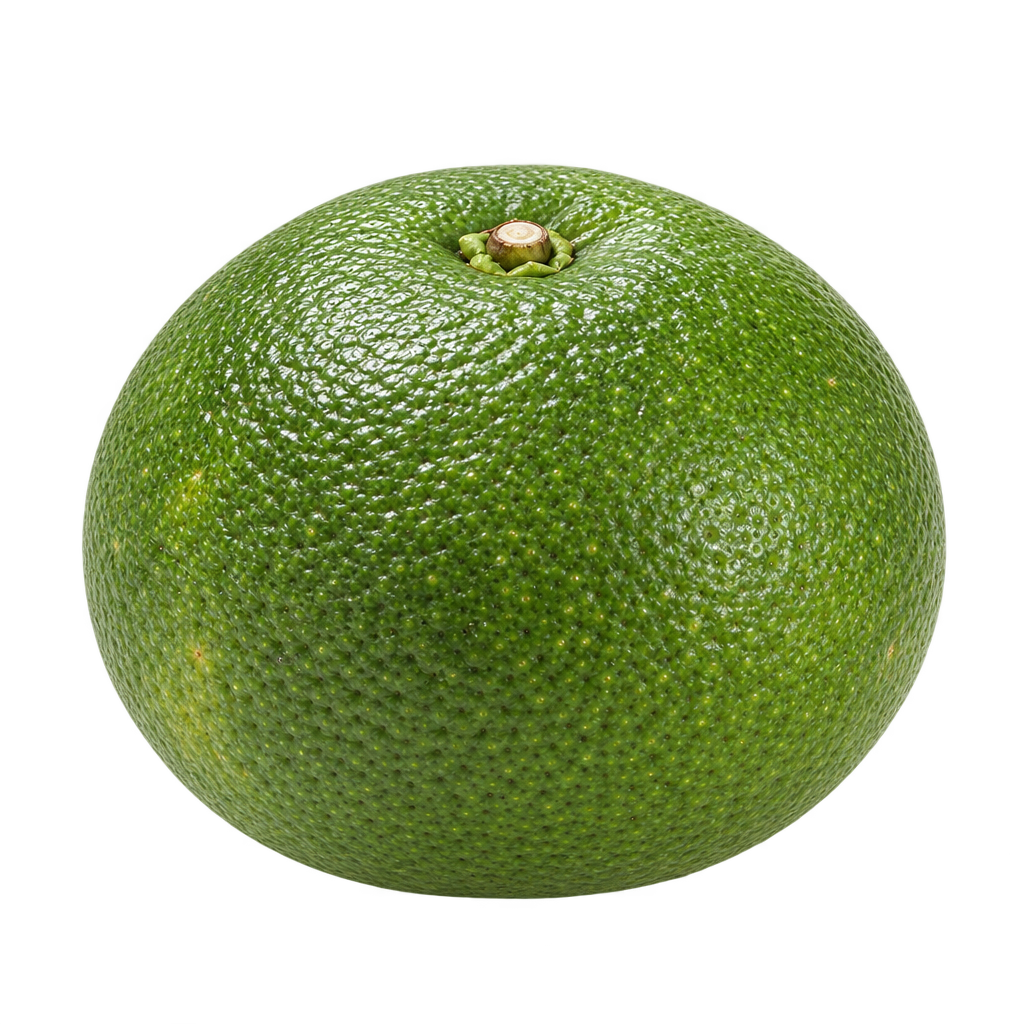 Generated depiction of a gently flattened Sudachi with rounded shoulders and pebbled green rind