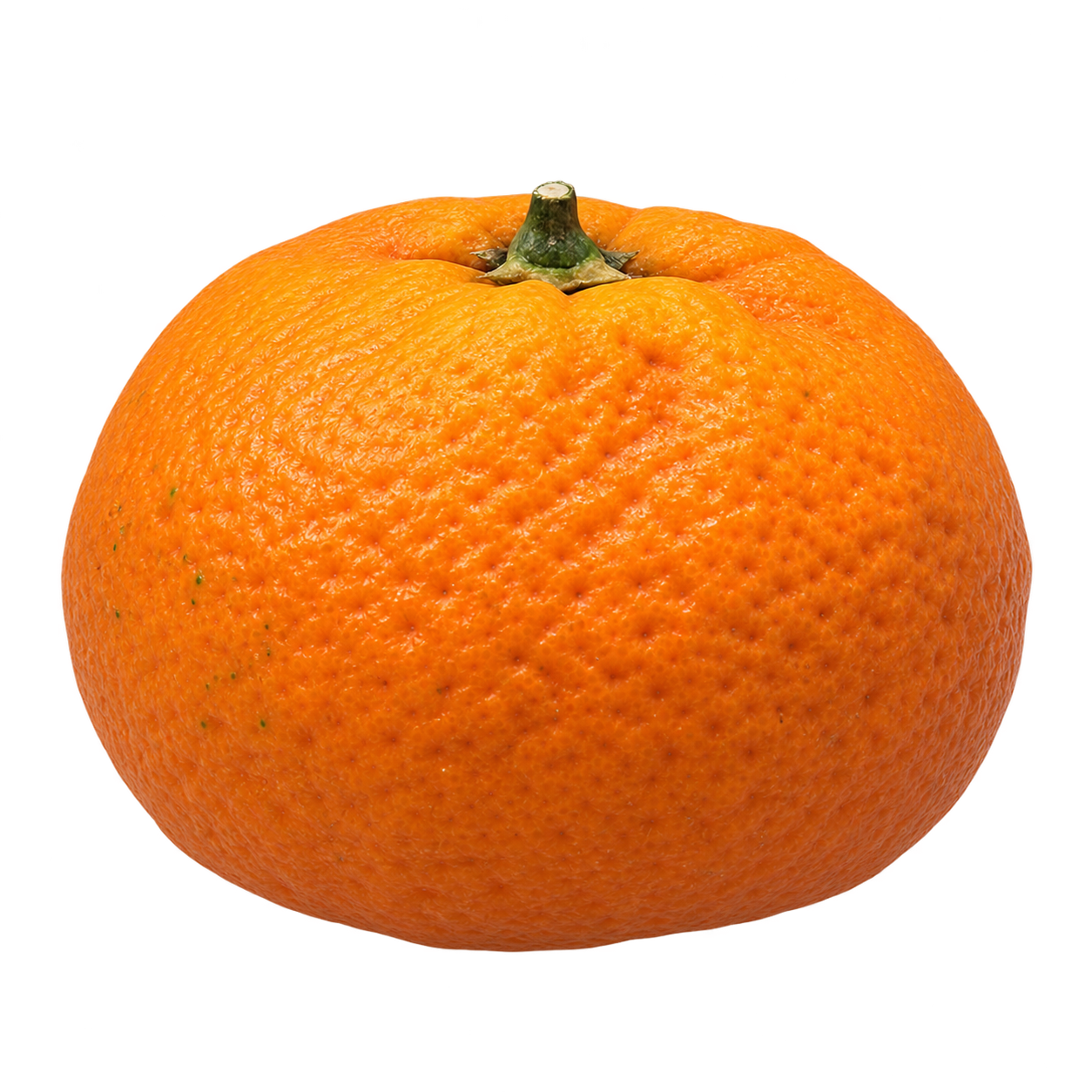 Generated depiction of a slightly squat Amoa 8 Tangor from a low side angle, with rough orange rind and a small calyx at the top