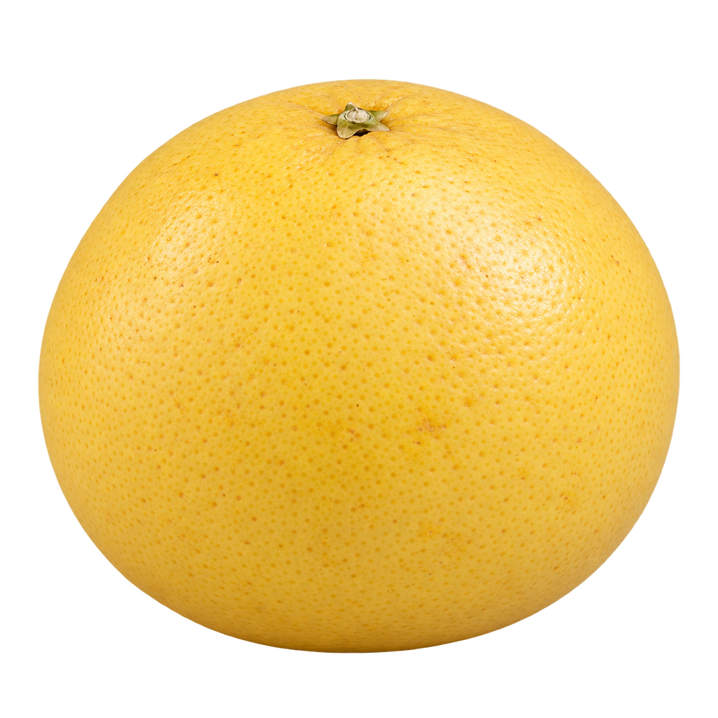 Generated depiction of a plump Foster Grapefruit, mildly wider than tall, with golden-yellow finely pored rind and a centered upper calyx
