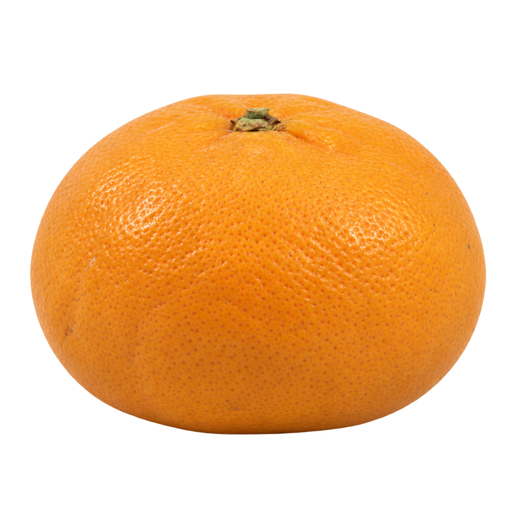 Generated depiction of a plump, moderately flattened EncoreLS Mandarin with finely textured orange rind and a small top calyx