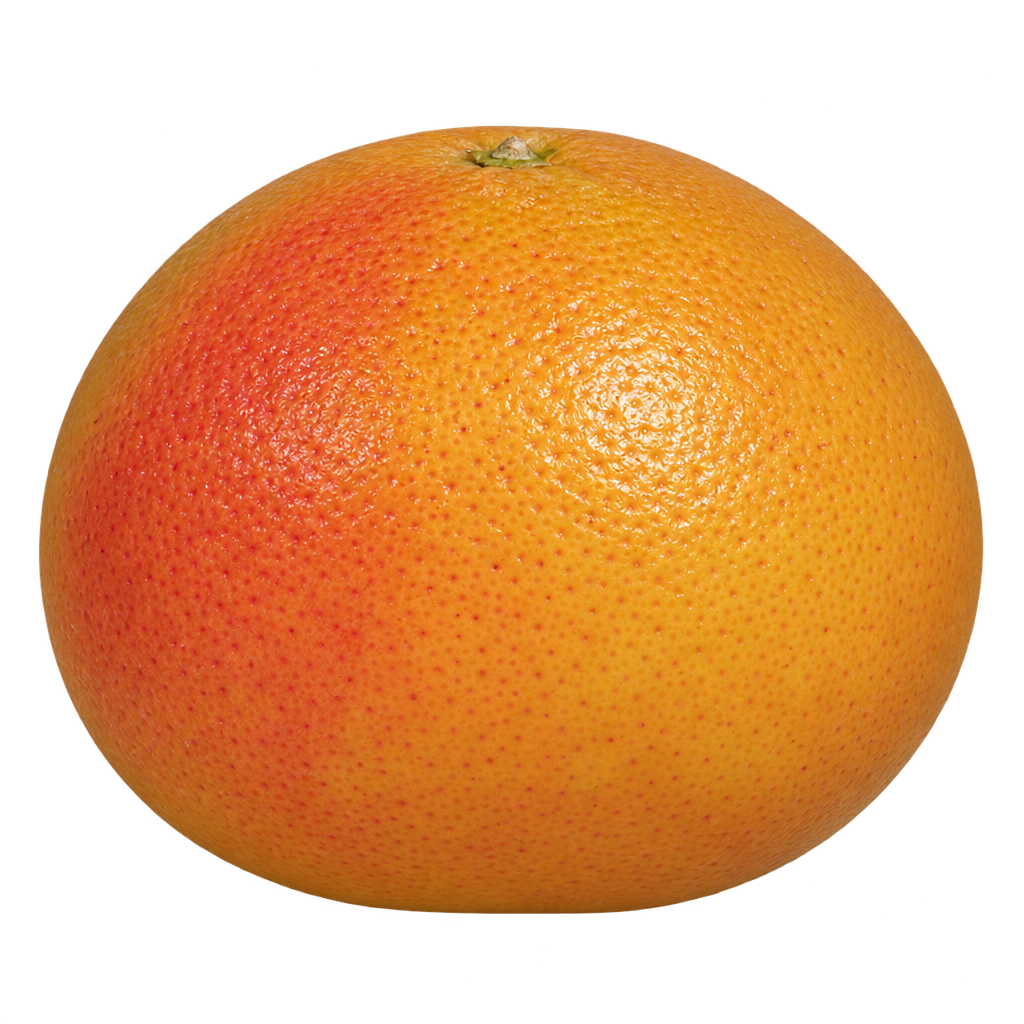 Generated depiction of a Ray Ruby Grapefruit with a broad rounded base, narrower upper shoulders, and yellow-orange rind with a rose blush