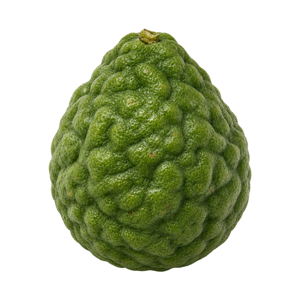 Generated depiction of Kaffir Lime with a gently pear-shaped body, narrower upper shoulders and strongly bumpy green rind