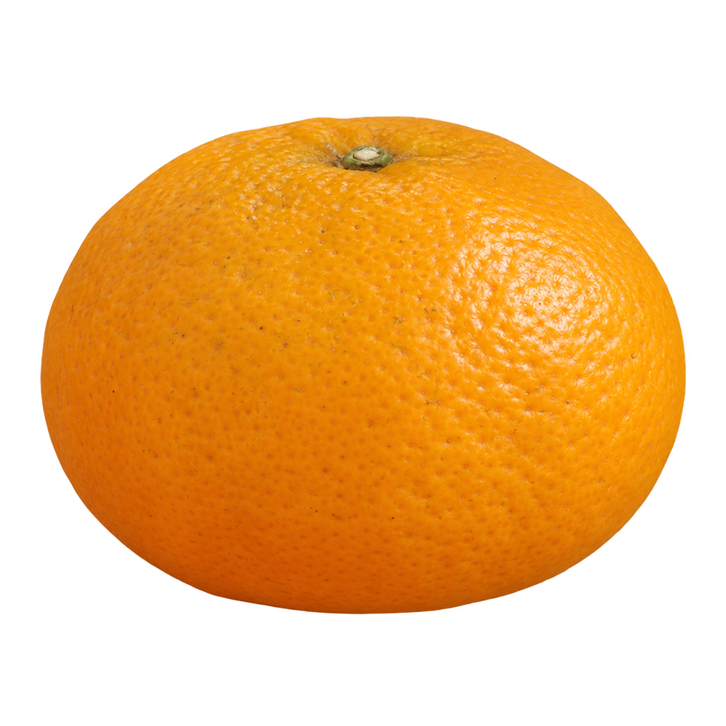 Generated depiction of a Silverhill Satsuma wider than tall, with gently rounded sides and golden-orange rind