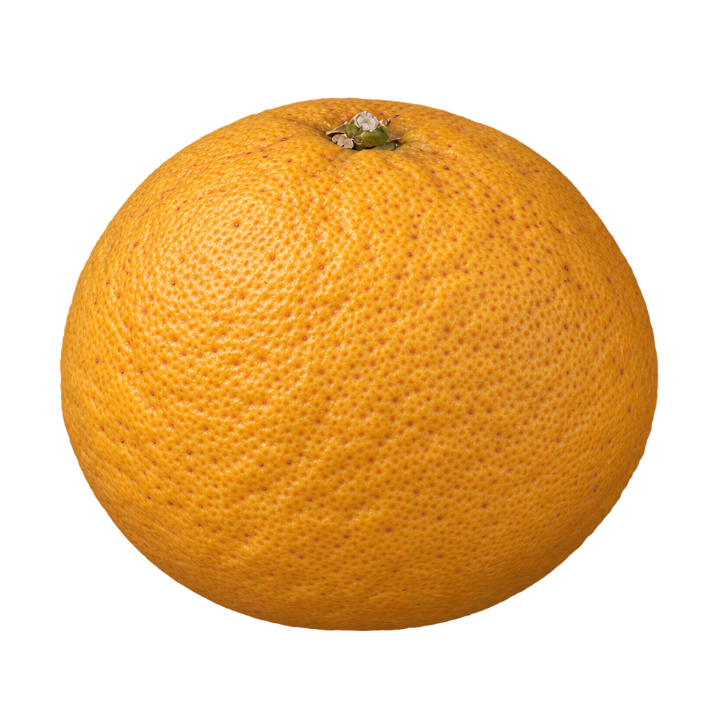 Generated depiction of a whole US-802 Citrumelo slightly wider than tall from a low side view, with rough pebbled golden-orange rind and a recessed calyx