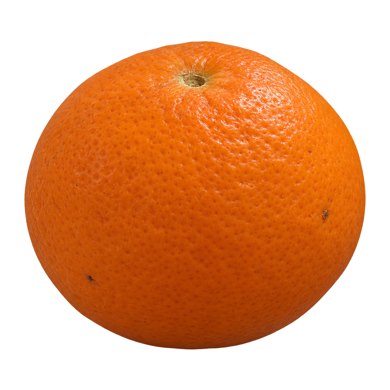 Generated depiction of a whole Bishop Citrandarin from a low side angle, showing its orange textured rind