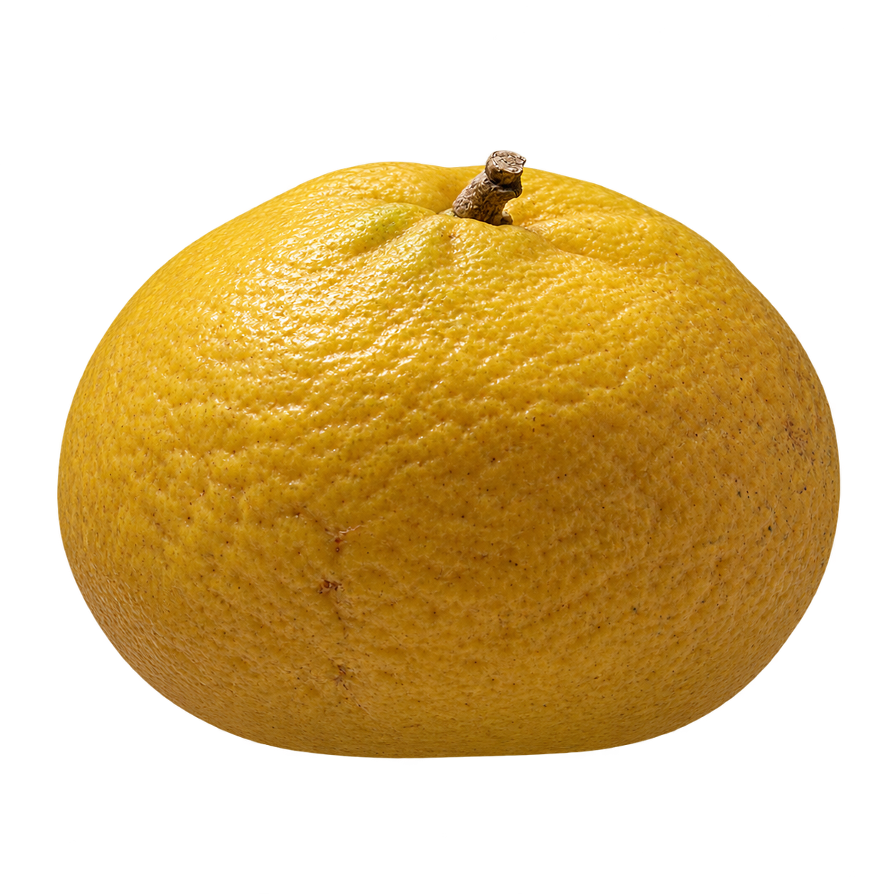 Generated depiction of a whole Ten Degree Tangerine from a low side angle, showing its yellow-gold textured rind