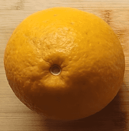 Bloomsweet Grapefruit