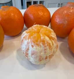 Minneola Tangelo