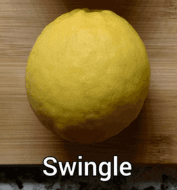 Swingle Citrumelo
