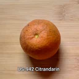 US-942 Citrandarin